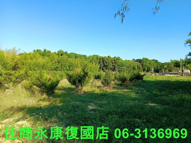 台南歸仁農地-10