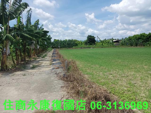 高雄旗山農地-13