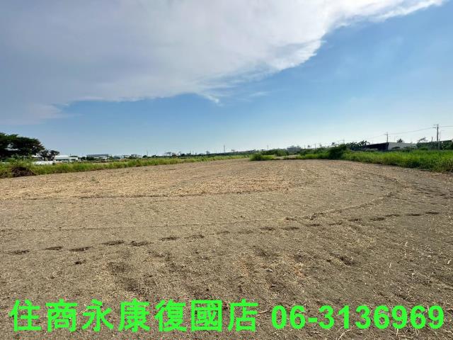 台南仁德農地-10