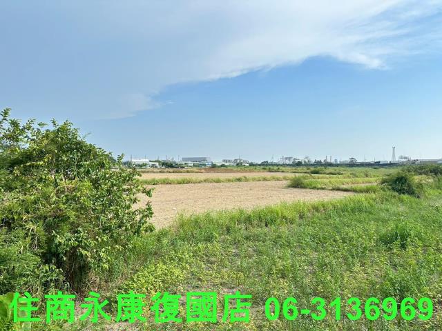 台南仁德農地-1