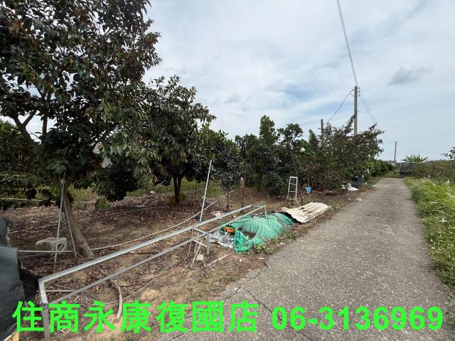 台南楠西農地-10
