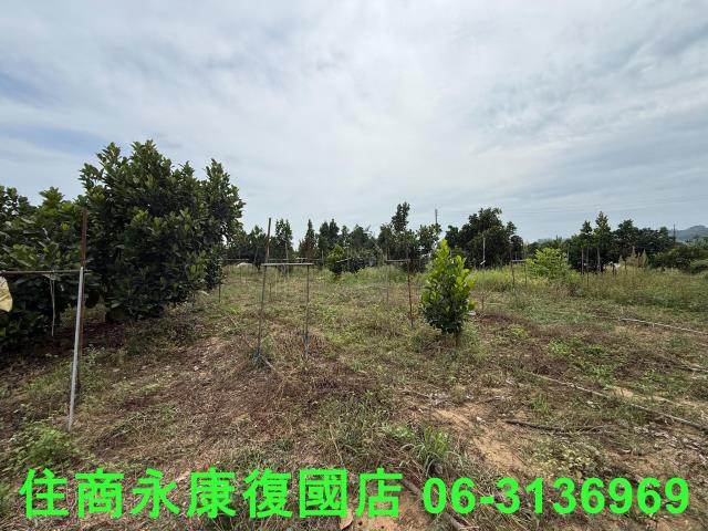 台南楠西農地-3