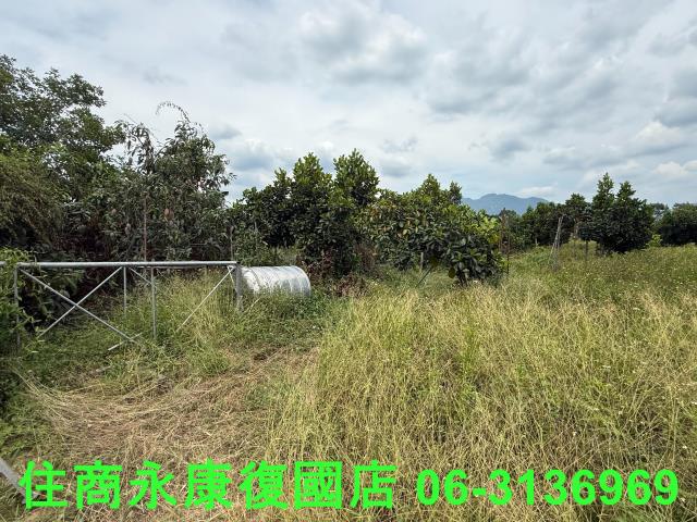 台南楠西農地-5