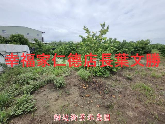 台南山上農地-3