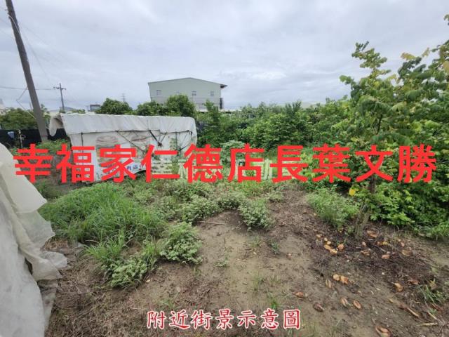 台南山上農地-8