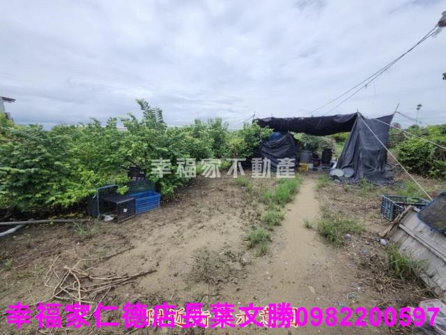 台南山上農地-7