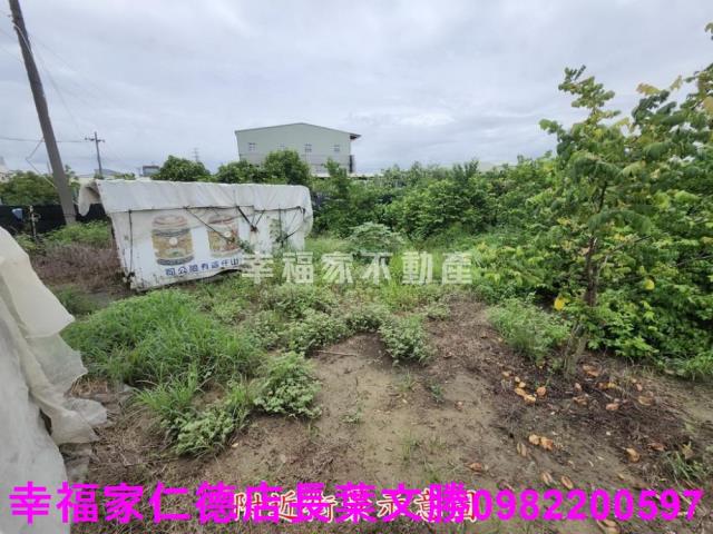 台南山上農地-8