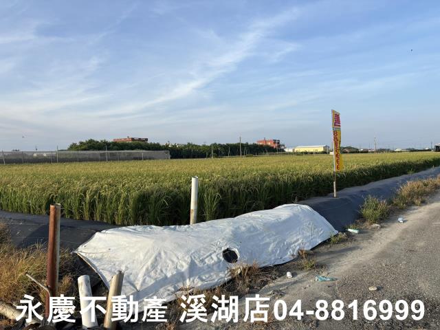 芳苑農地-2