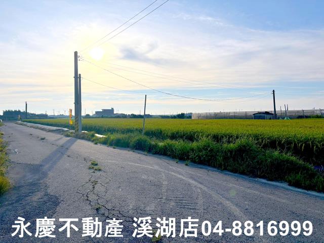 芳苑農地-5