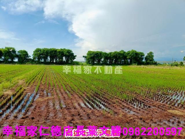 新營農地-2