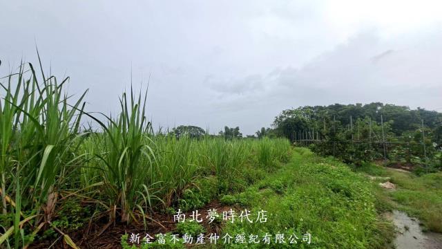 楠西農地-10