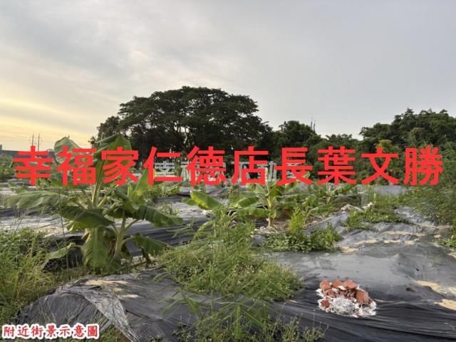 台南農地-3