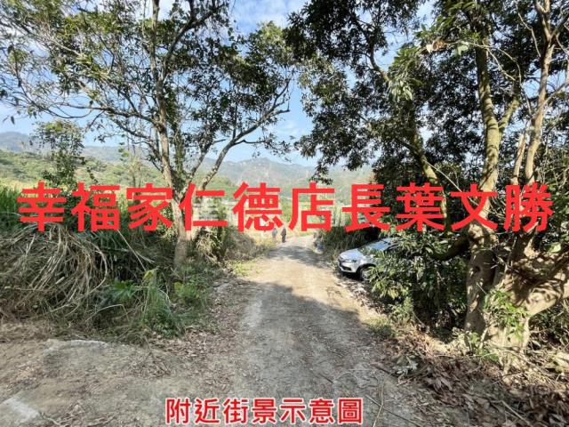 台南農地-5