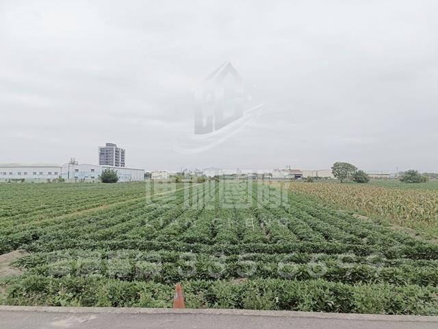 新化農地-3