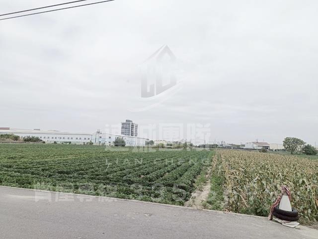 新化農地-5