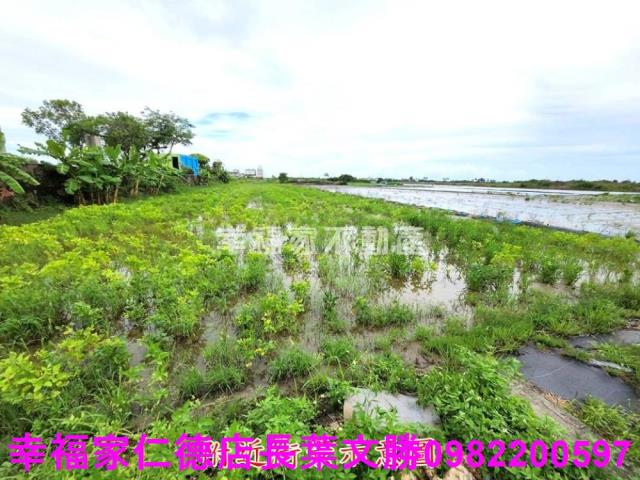 台南農地-14