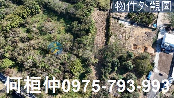 苗栗通霄農地-3