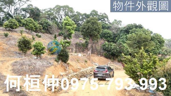 苗栗通霄農地-3