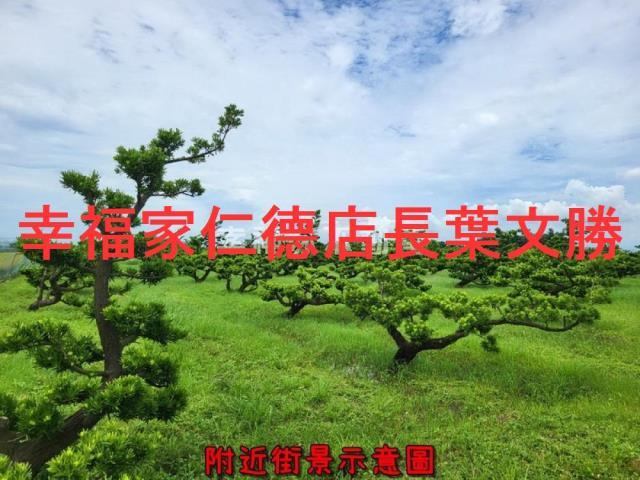 將軍農地-4