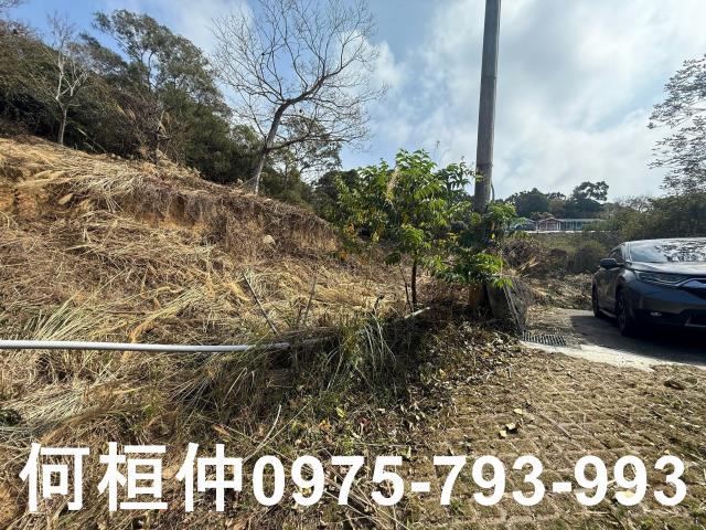 通霄農地-10