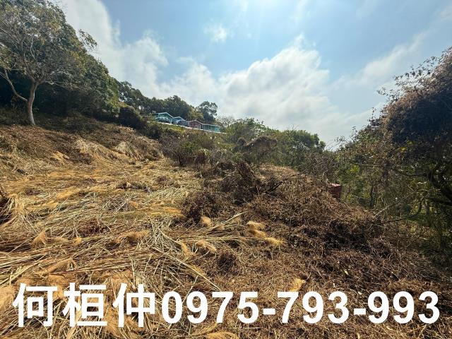 通霄農地-11