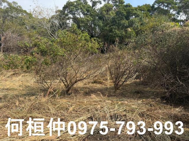 通霄農地-12
