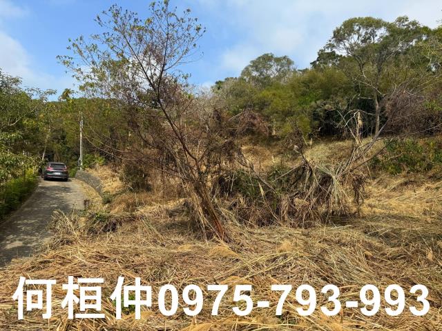 通霄農地-4
