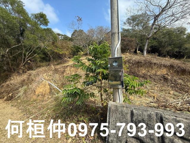 通霄農地-5