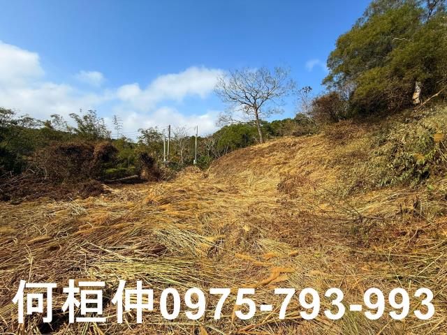 通霄農地-7