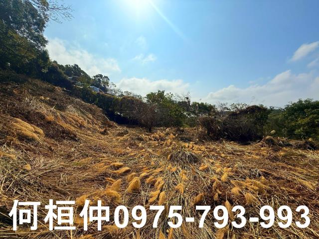 通霄農地-8