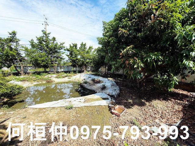 公館農地-11