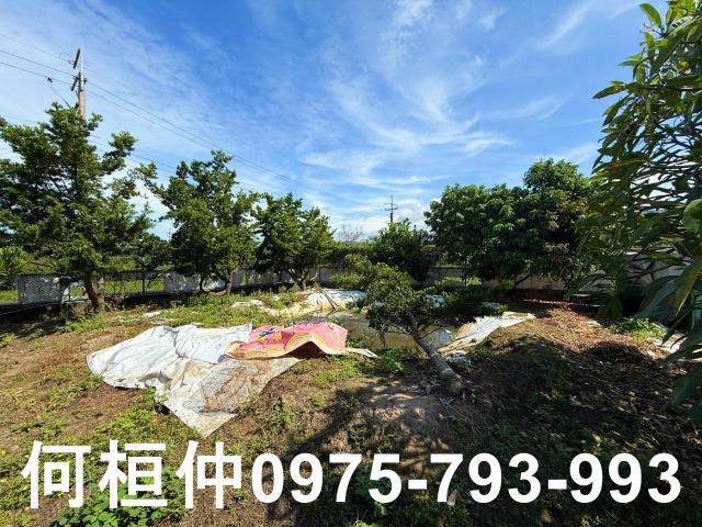公館農地-12