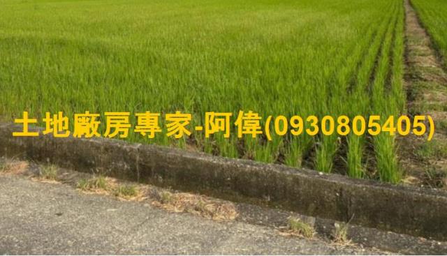 高雄鳥松農地-1