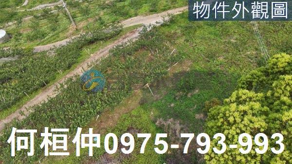 苗栗大湖農地-3
