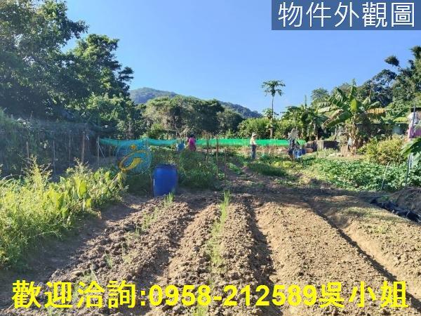 關西農地-10