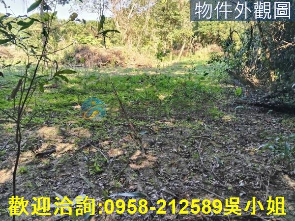 關西農地-9