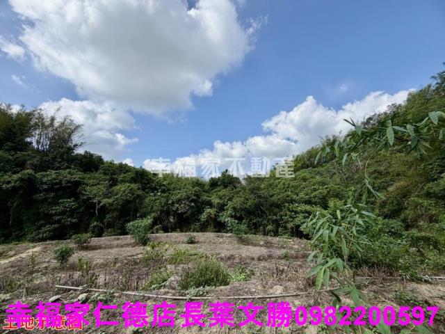 台南關廟農地-1