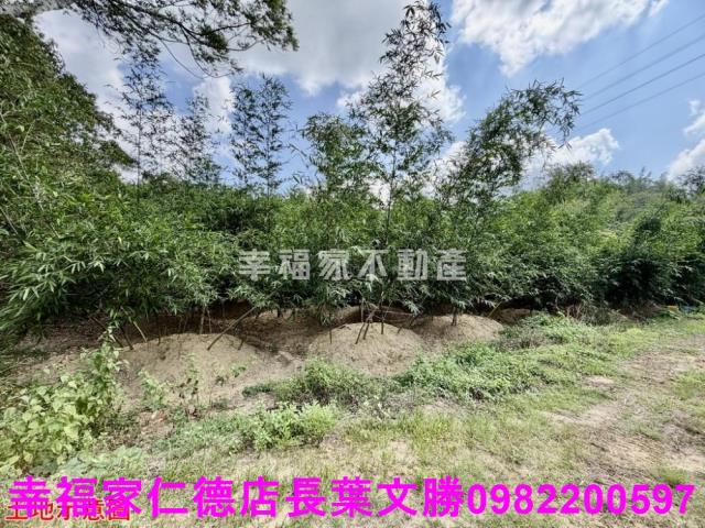 台南關廟農地-5
