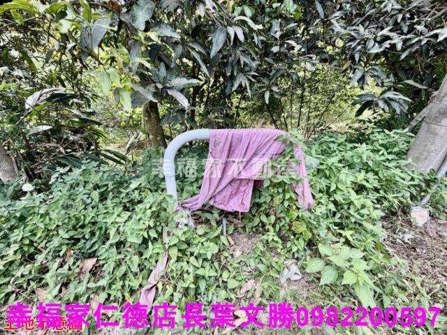 台南關廟農地-9