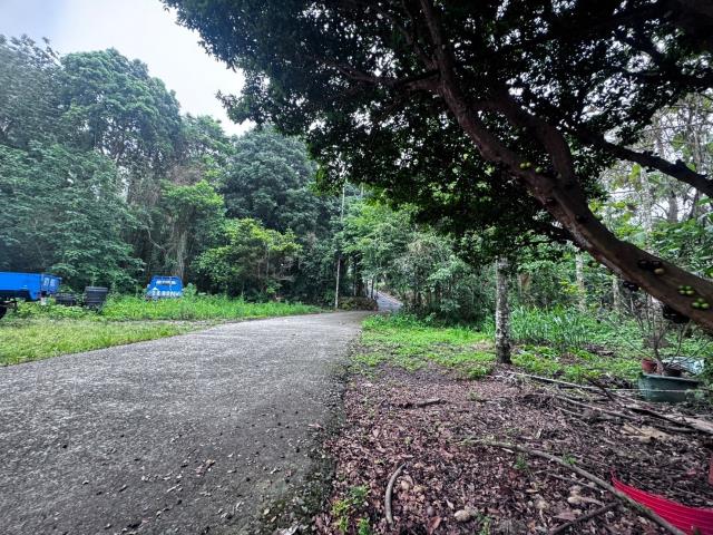嘉義竹崎農地-2