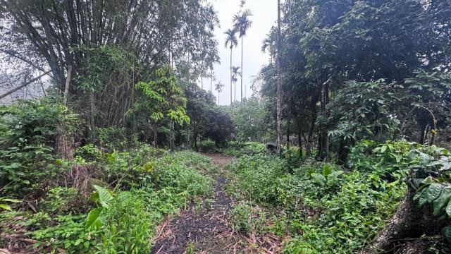 嘉義竹崎農地-5