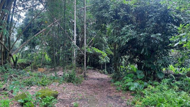 嘉義竹崎農地-6