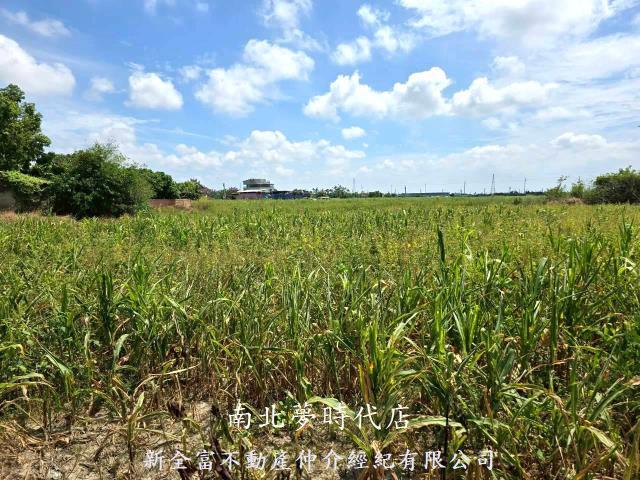 佳里農地-10