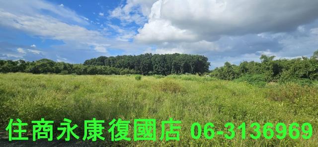 台南關廟農地-3