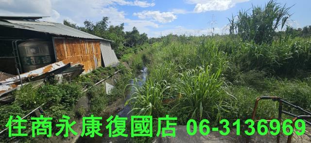 台南關廟農地-8