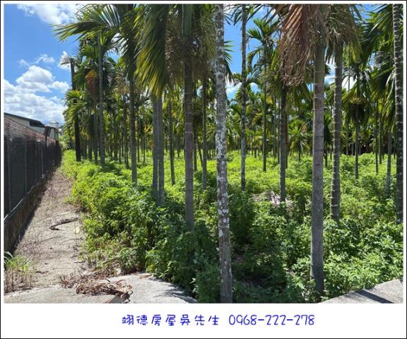 屏東長治農地-9
