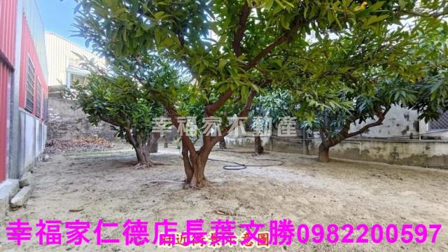 台南新市建地-14
