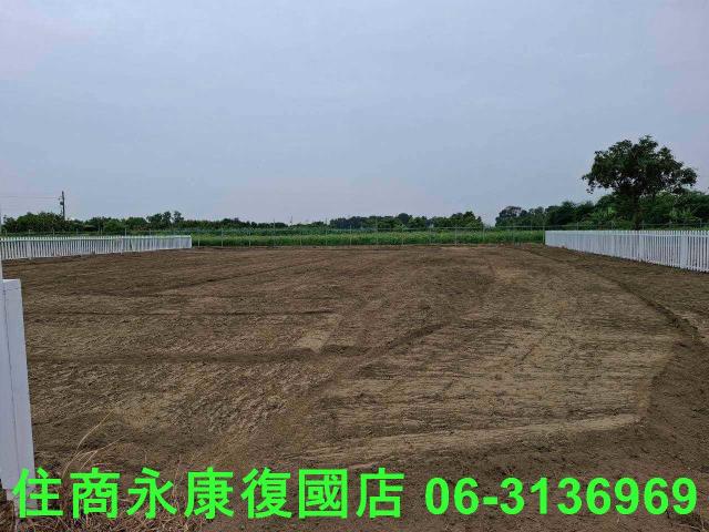 善化農地-3