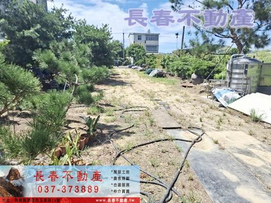 銅鑼農地-4