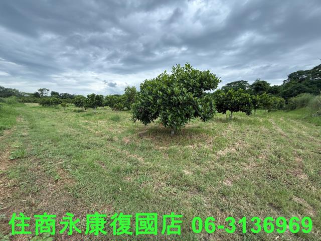 台南大內農地-4